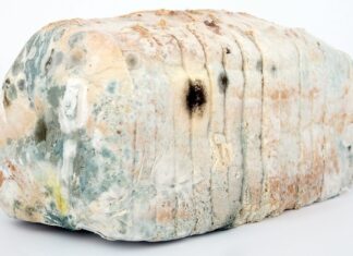 Jak dezynfekować zabawki dziecka? Jak dezynfekować zabawki dziecka?