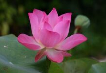 Jak jest po angielsku notes?