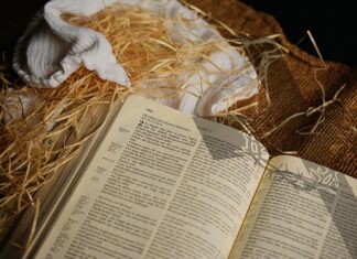 Jaka pielucha najlepsza?