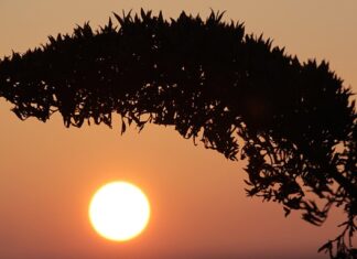 Jak naprawić wyschnięty marker?