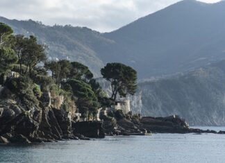 Ile kosztuje pierwsza wizyta na strzelnicy? Ile kosztuje pierwsza wizyta na strzelnicy?