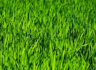 Co do codziennej pielęgnacji pupy noworodka? Co do codziennej pielęgnacji pupy noworodka?