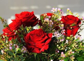 Ile kosztuje najdroższy piórnik na świecie? Ile kosztuje najdroższy piórnik na świecie?