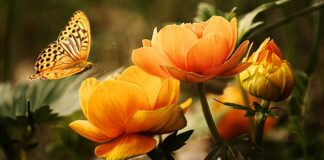 Jaki płyn do mycia butelek forum?