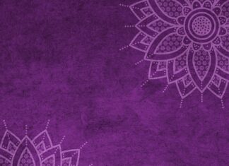 Jaki jest mandat za brak zapiętych pasów?