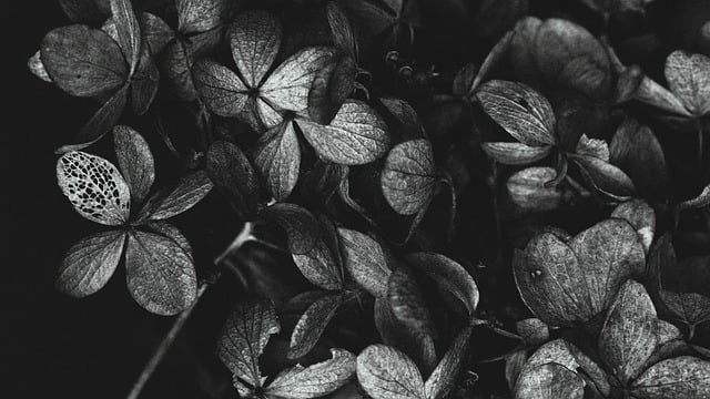 W jakim wieku dziecko umie kopać piłkę? W jakim wieku dziecko umie kopać piłkę?