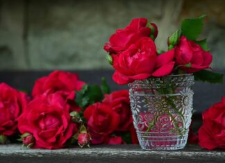 Gdzie kupić pojemnik na smoczek?