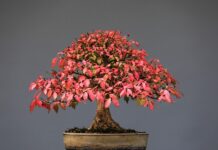 Jak czyścić gryzaki?