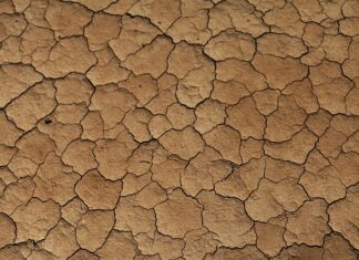 Czy beżowe spodnie pasują do czarnej koszuli? Czy beżowe spodnie pasują do czarnej koszuli?