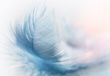 Jak dbać o pióro wieczne?