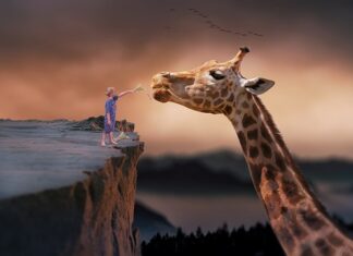 Czy po każdym karmieniu zmieniać pieluchę? Czy po każdym karmieniu zmieniać pieluchę?