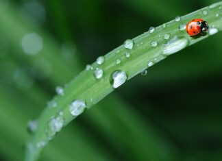 Jak oznaczyć pościel do przedszkola?
