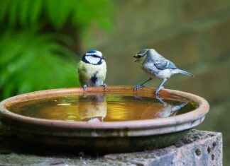 Jak się mówi 2001?