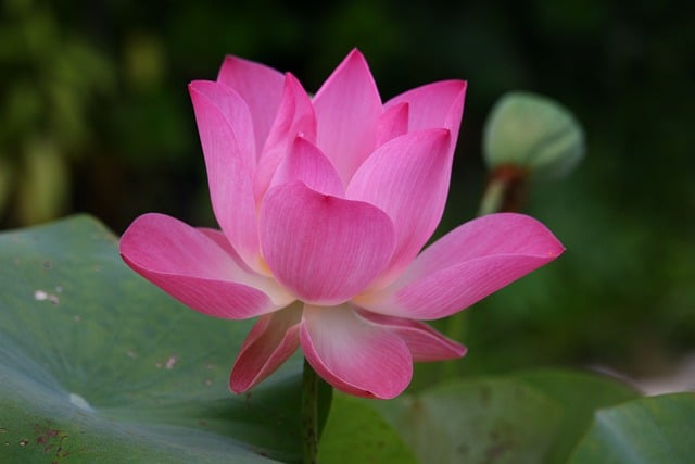 Co to znaczy po angielsku sweter? Co to znaczy po angielsku sweter?