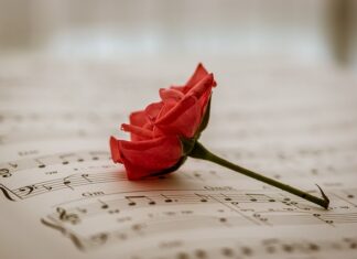 Komu przysługują bezpłatne wyroby medyczne? Komu przysługują bezpłatne wyroby medyczne?