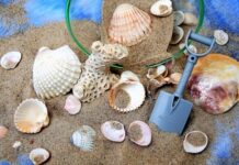 Ile kosztuje 1 tona piachu?