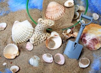 Ile kosztuje 1 tona piachu?