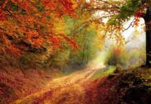 Jak sprawdzić rok produkcji pasów bezpieczeństwa?