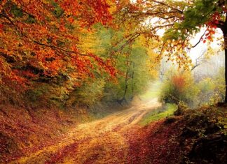 Jak sprawdzić rok produkcji pasów bezpieczeństwa?